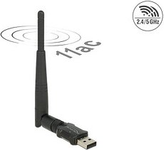 DeLOCK 12462 WLAN-Stick