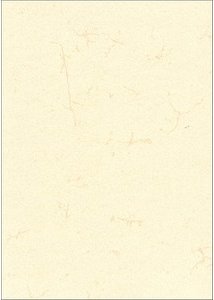 RNK-Verlag Motivpapier Elefantenhaut chamois DIN A3 190 g/qm 10 Blatt