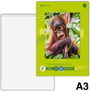 Edition Dürer Zeichenblock green DIN A3