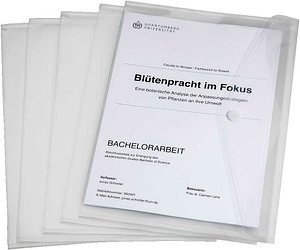 EICHNER Dokumententaschen DIN A4 quer transparent glatt, 5 St.