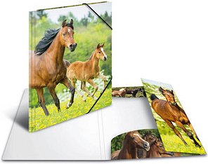 HERMA Zeichenmappen DIN A3 Pferde, 3 St.
