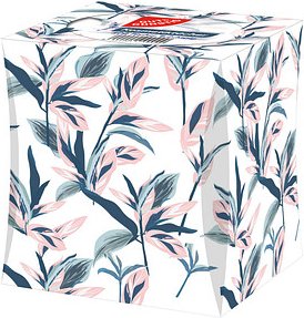 GUT&GÜNSTIG Kosmetiktücherbox 2-lagig weiß, 100 Tücher