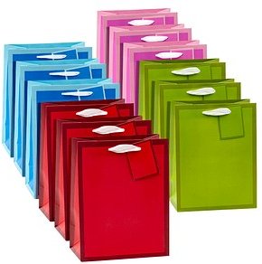 12 TSI Geschenktüten TREND MIT RAHMEN blau, rosa, rot, grün 18,0 x 23,0 cm