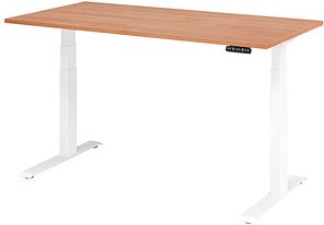HAMMERBACHER XDKB16 elektrisch höhenverstellbarer Schreibtisch nussbaum rechteckig, C-Fuß-Gestell weiß 160,0 x 80,0 cm
