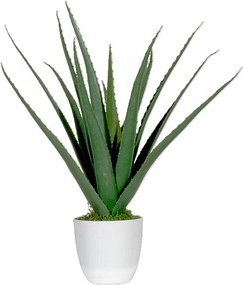 Thumbnail - meet powered by PAPERFLOW ALOE VERA Kunstpflanze 45,0 cm