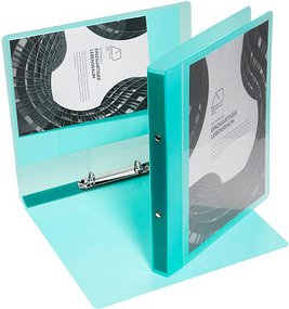 EICHNER Präsentationsringbuch 2-Ringe grün-transparent 2,5 cm DIN A4, 1 St.