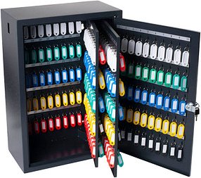 pavo Schlüsselkasten grau mit 300 Haken, Zylinderschloss, 55,1 x 21,0 x 38,7 cm, 1 St.