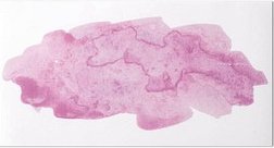 Rayher Wachsmotiv rosa Watercolor, 1 St.