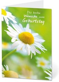 LUMA Geburtstagskarte Margeriten DIN B6