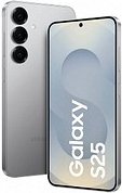 SAMSUNG Galaxy S25 Dual-SIM-Smartphone Silver Shadow 256 GB