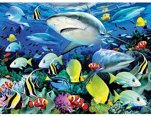PRACHT® Creatives Malen-nach-Zahlen Meeresleben mehrfarbig
