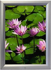 update displays Klapprahmen silber 91,0 x 127,0 cm, 1 St.