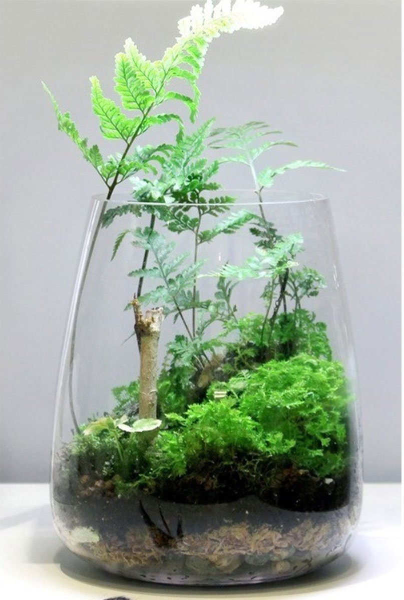 ONF Moss Micro Landscape Set