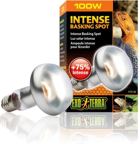 Exo Terra Intense Basking Spot 100
