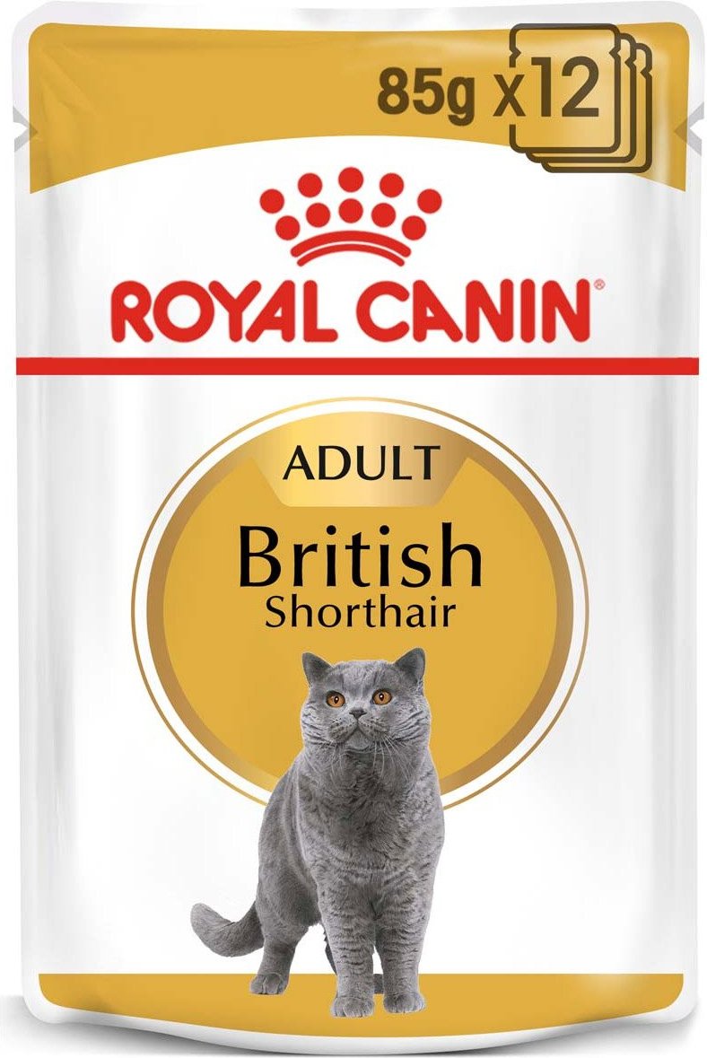 ROYAL CANIN British Shorthair Adult Katzenfutter nass für Britisch Kurzhaar 48x85g