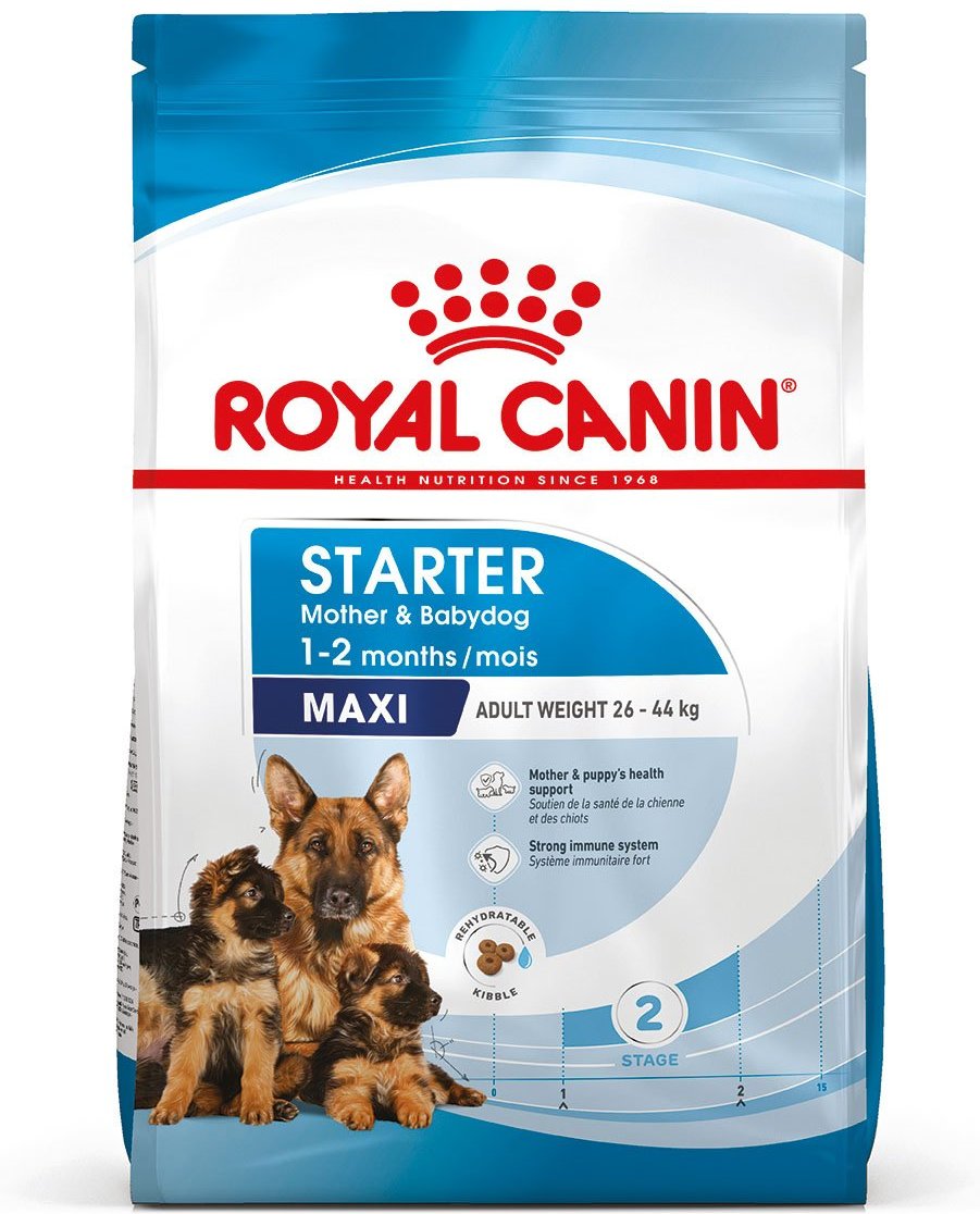 ROYAL CANIN MAXI Starter für tragende Hündin und Welpen großer Rassen 2x15kg