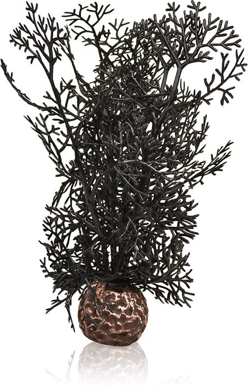 biOrb Hornkoralle schwarz S