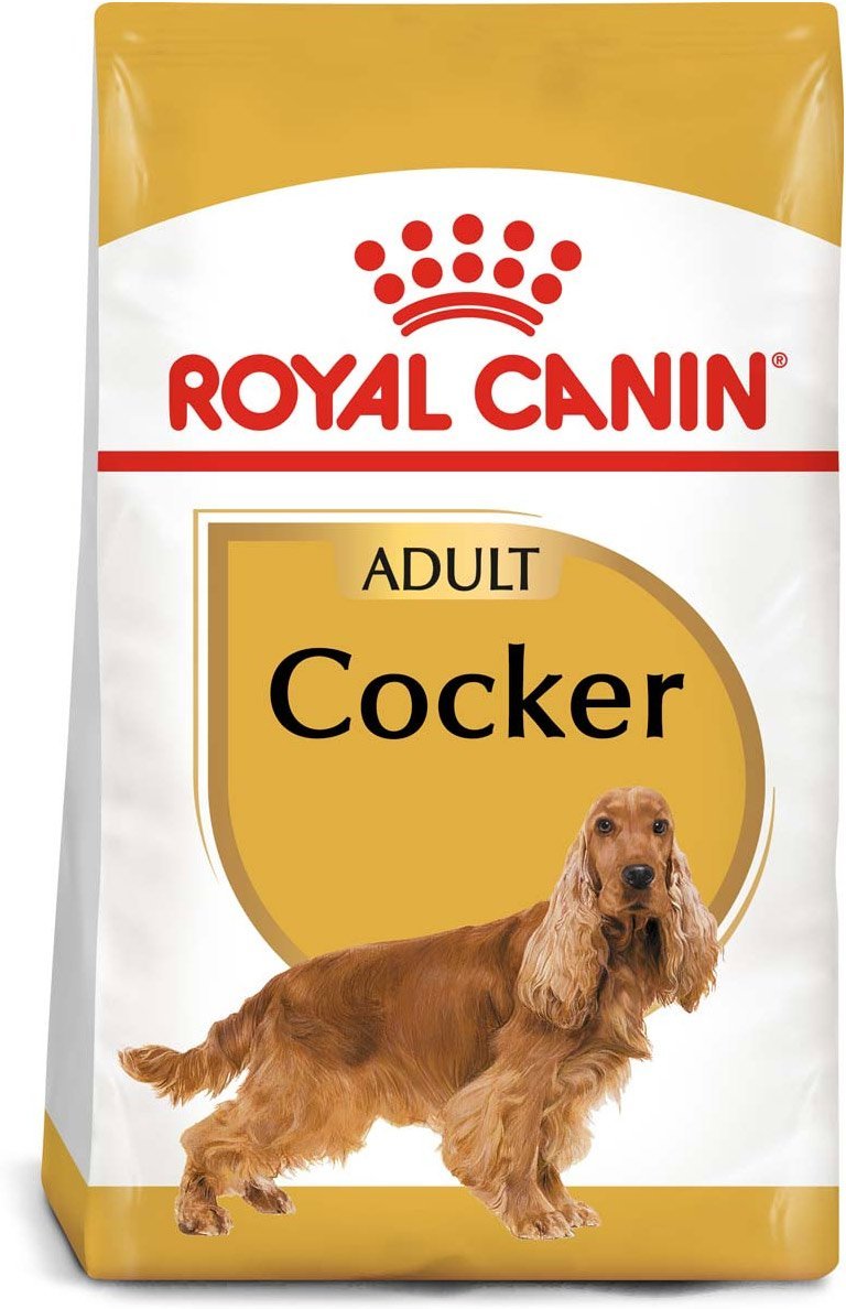 ROYAL CANIN Cocker Adult Hundefutter trocken 2x12kg Sparangebot