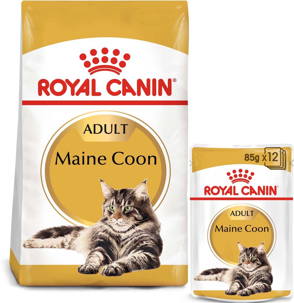 ROYAL CANIN ADULT Maine Coon 2kg + Nassfutter in Soße 12x85g