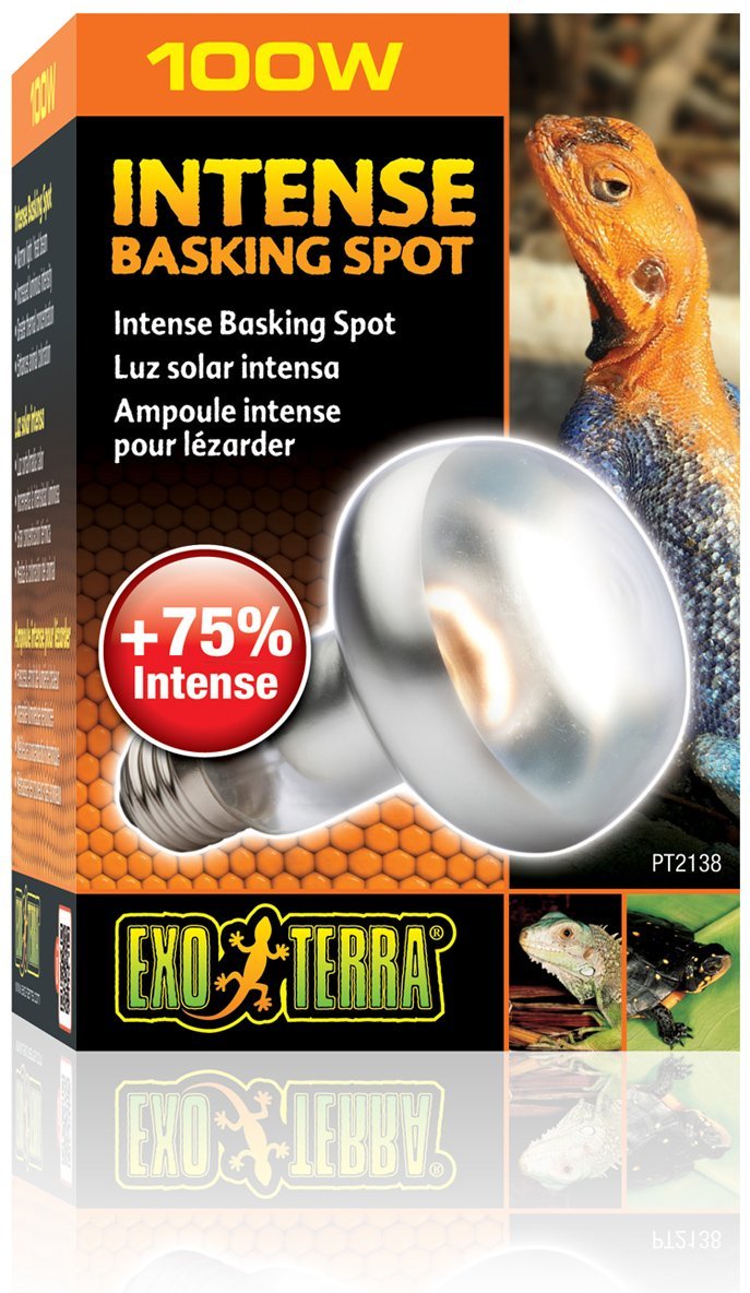 Exo Terra Intense Basking Spot 4+1 gratis 100 Watt