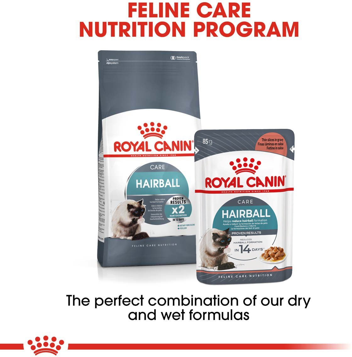 ROYAL CANIN HAIRBALL CARE Trockenfutter 2kg + Nassfutter 12x85g