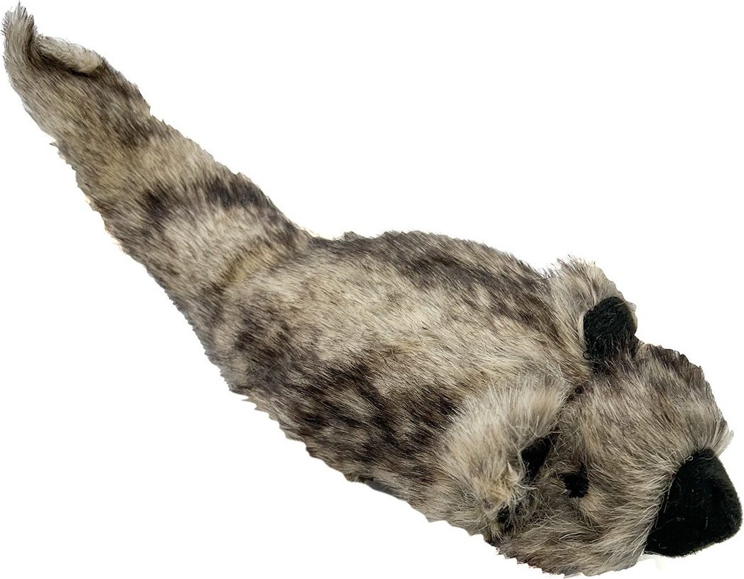 Aumüller Katzenspielkissen Zappel - Frettchen Speedy