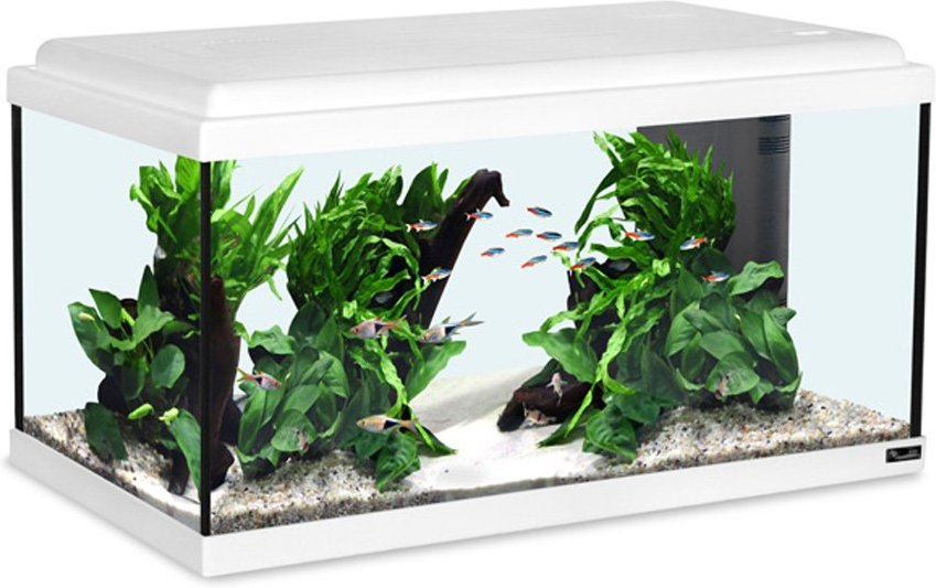 Thumbnail - Aquatlantis Aquarium Advance LED 60 weiß