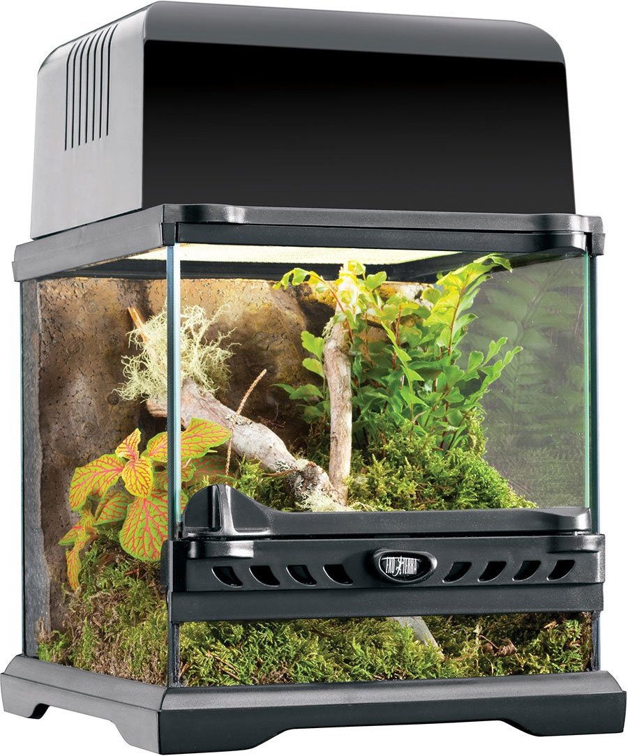 Exo Terra Natural Nano-Terrarium "Wide" 20x20x20cm