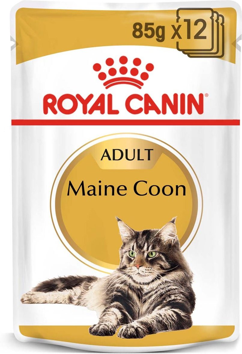 ROYAL CANIN Maine Coon Adult Katzenfutter nass 12x85g