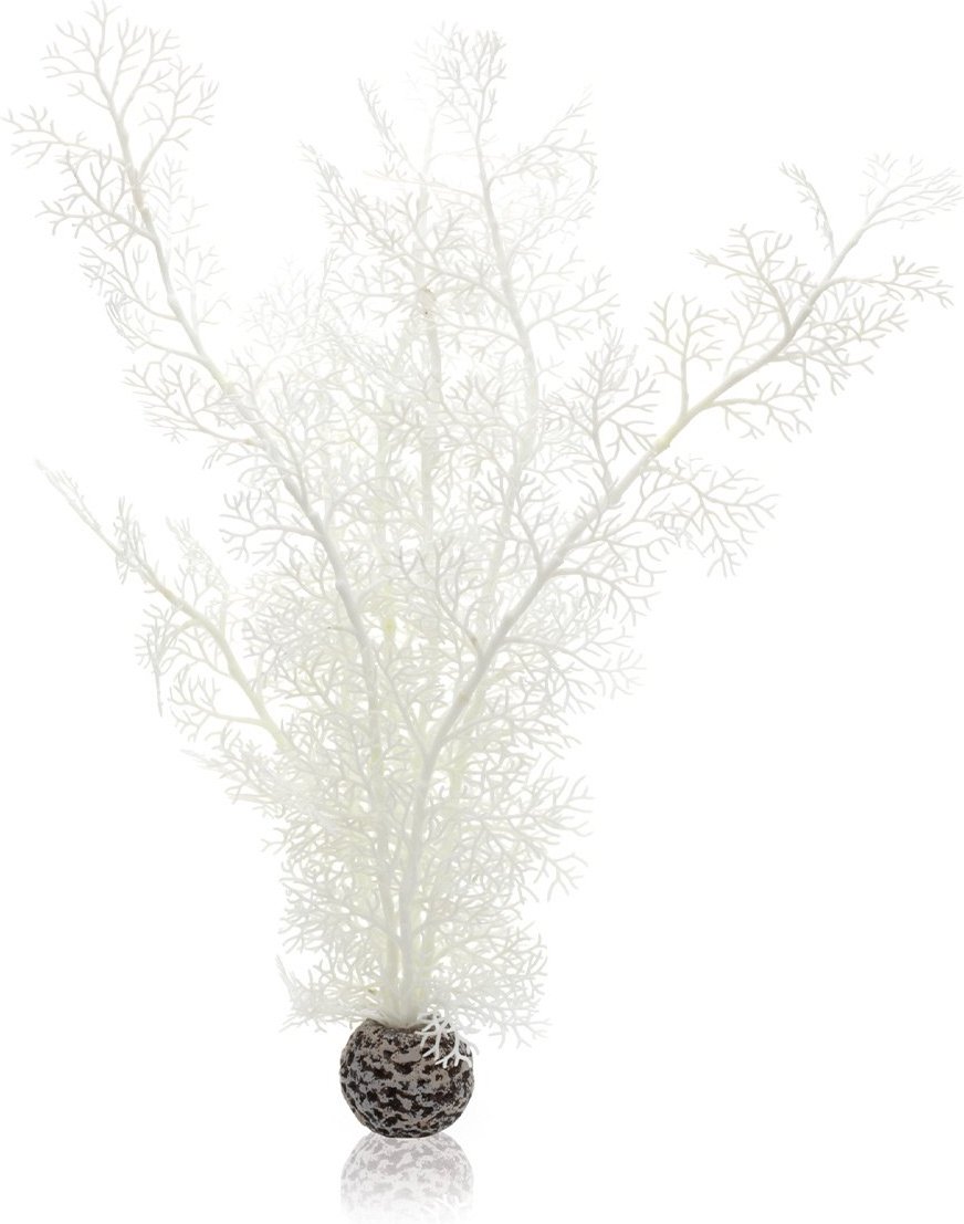 biOrb Hornkoralle weiß L