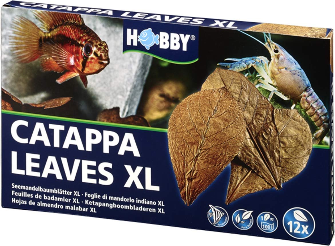 Hobby Catappa Leaves XL 12 Stück