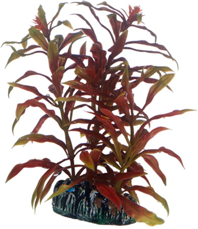 Hobby Aquariumdekoration Nesaea 13 cm