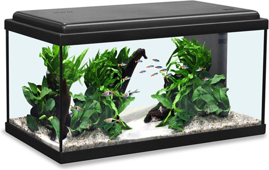 Aquatlantis Aquarium Advance LED 60 schwarz