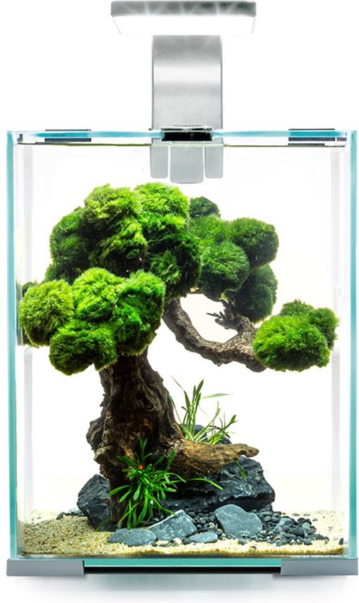 Aquael Shrimp Set Tag & Nacht weiß 10 Liter, 20 x 20 x 25 cm