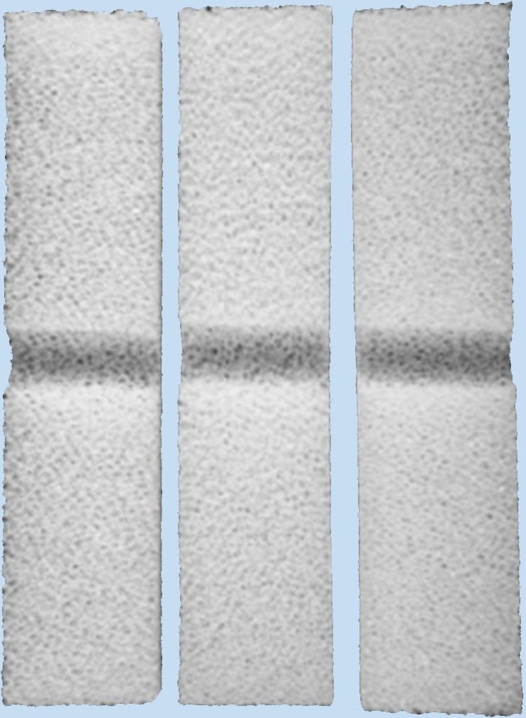 FLUVAL Schaumstoffvorfilter 3er Pack für Fluval FX5 + FX6