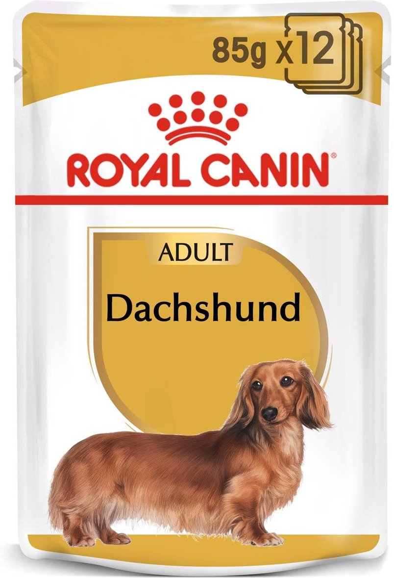 ROYAL CANIN Dachshund Adult Hundefutter nass für Dackel 12x85g