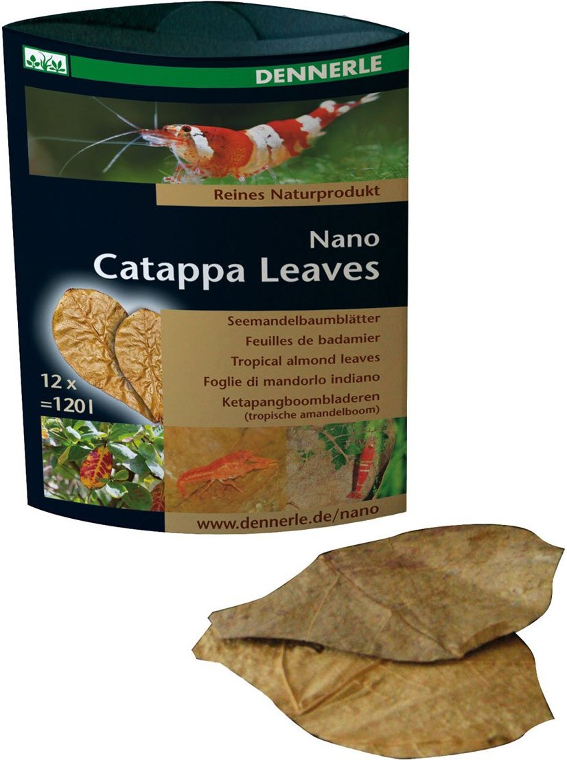 Dennerle Nano Catappa Leaves 12 Stück