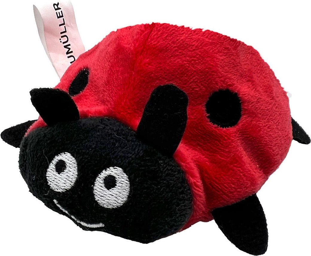 Aumüller Katzenspielkissen Marienkäfer Dotty
