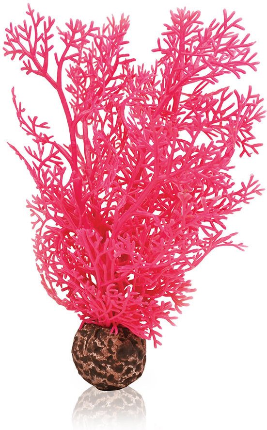 biOrb Hornkoralle S pink