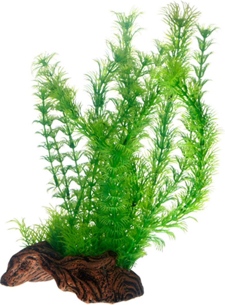 Hobby Aquariumdekoration Flora Root 3 L: 30 cm