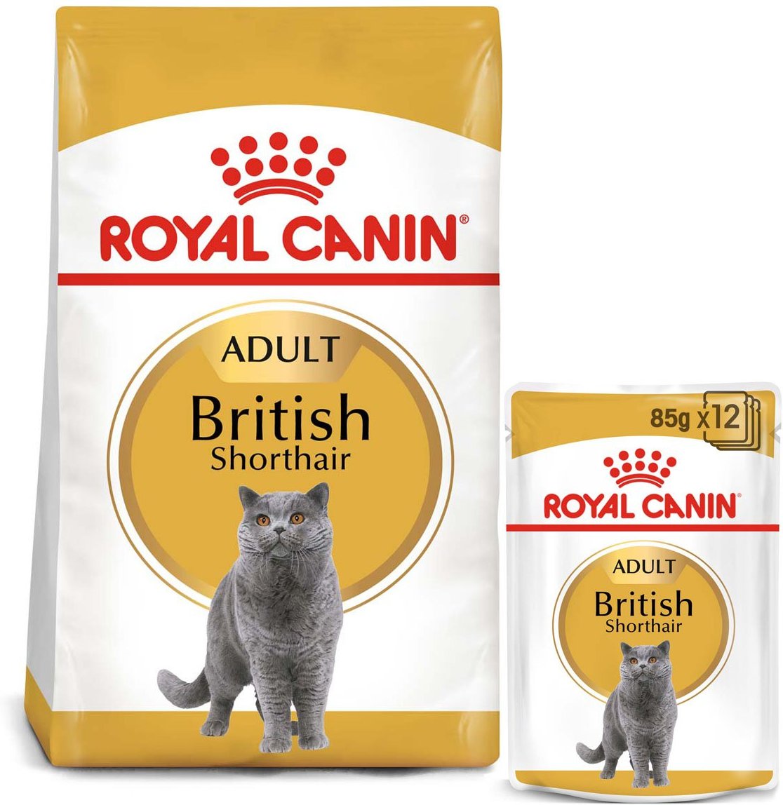 ROYAL CANIN ADULT British Shorthair 10kg + Nassfutter in Soße 48x85g