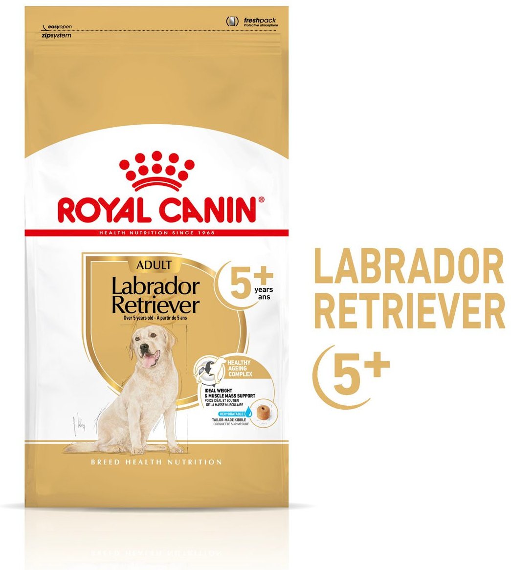 ROYAL CANIN Labrador Retriever Adult 5+ Trockenfutter für Hunde ab 5 Jahren 2x12kg