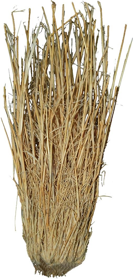 Lucky Reptile Grasbüschel 25-40 cm