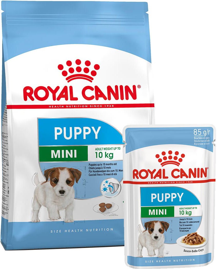 ROYAL CANIN Mini Puppy 2kg + Mini Puppy in Soße 12x85g
