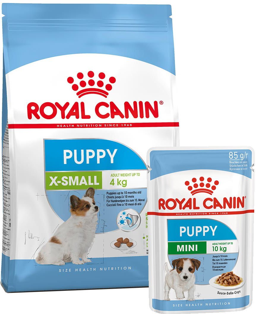 ROYAL CANIN X-Small Puppy 1,5kg + Mini Puppy in Soße 12x85g