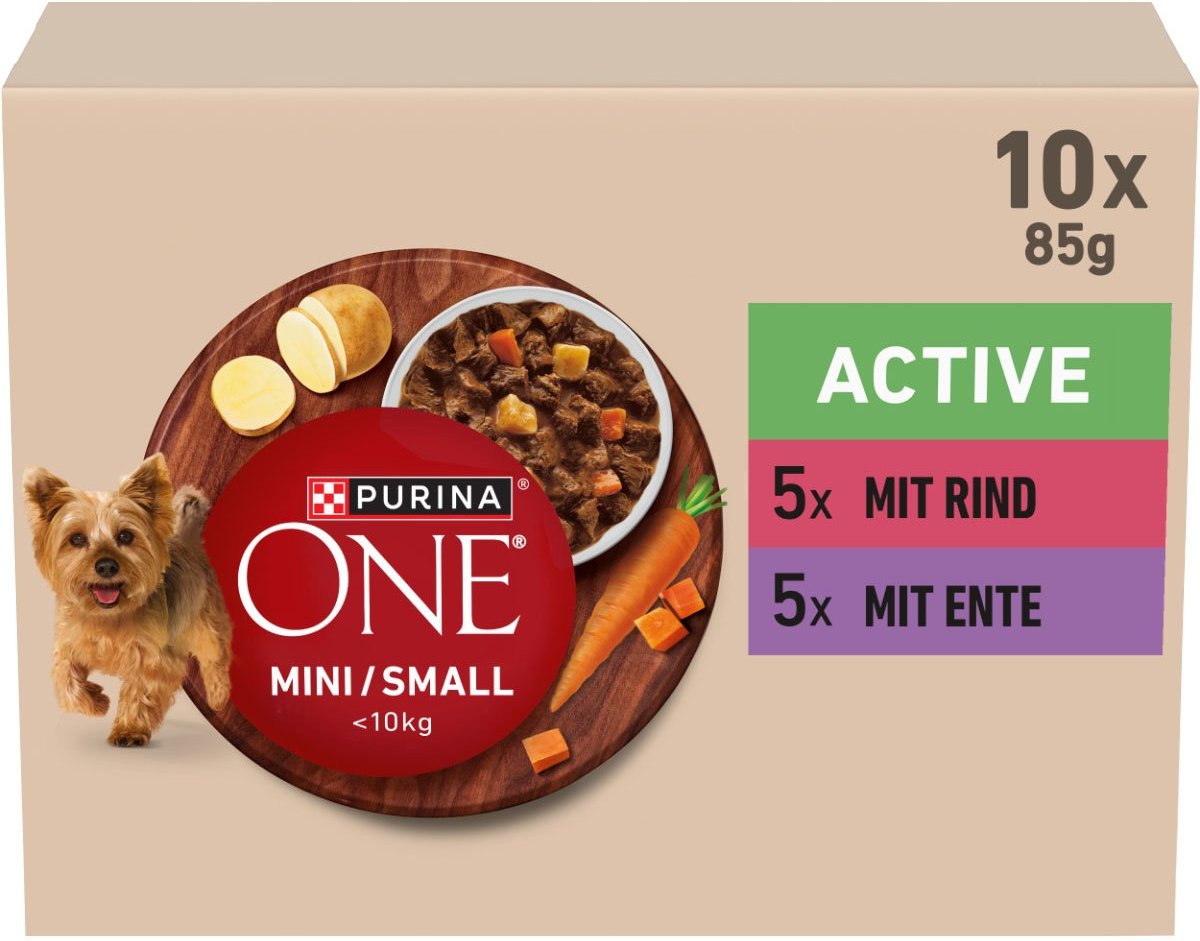 PURINA ONE MINI