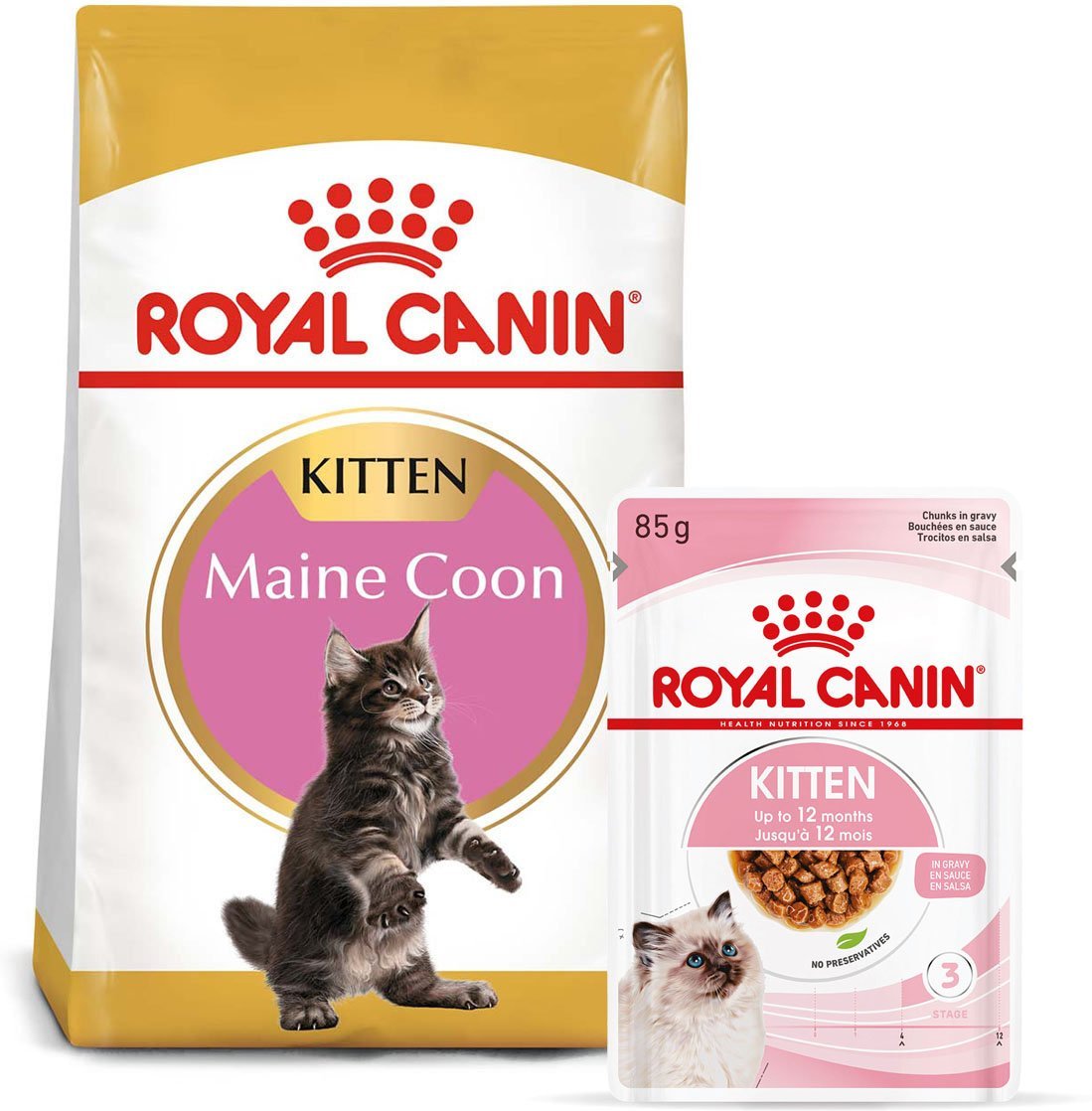 ROYAL CANIN KITTEN Maine Coon 4kg + Kitten in Soße 12x85g
