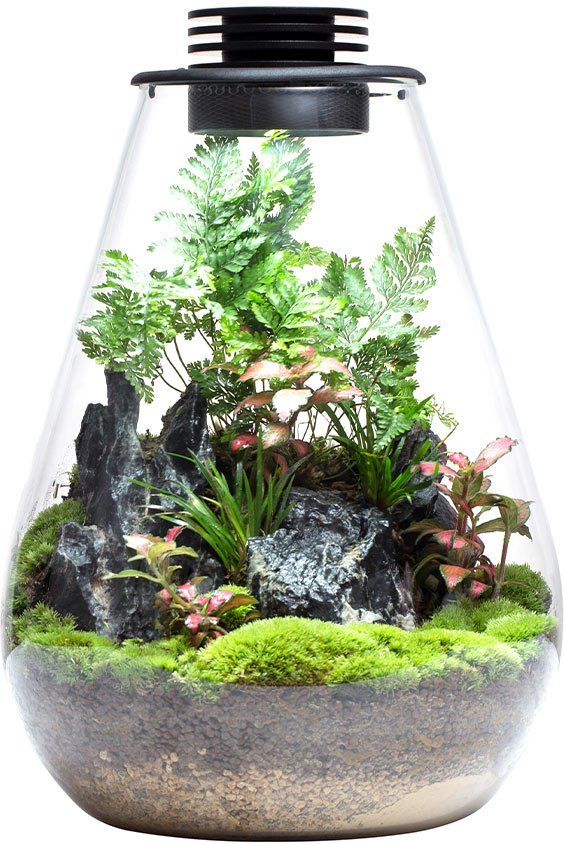 Bioloark Bio Bottle SD 175