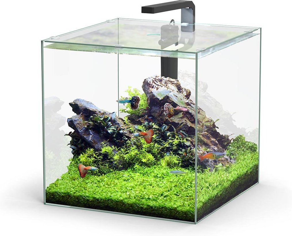 Aquatlantis Aquarium Set Kubus LED 54l