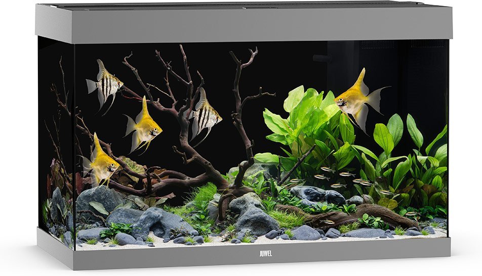 Juwel Rio 290 LED Aquarium Grau